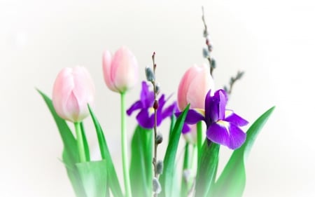 Beautiful Flowers - soft pastel, iris, tulips, pink and purple, beautiful, flowers, bouquet