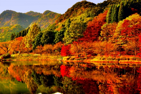 AUTUMN REFLECTION - lake, autumn, forest, reflection