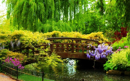 Queen Mary's Garden - river, trees, blossoms, fence, park, bridge