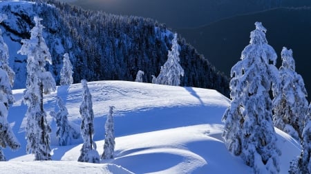 Winter Landscape - nature, trees, snow, winter, mountains