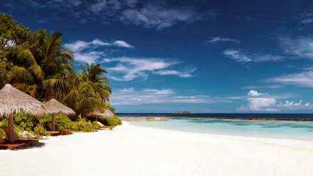 Caribbean Summer - clouds, summer, beach, beautiful, sea, sunshades, white sand, tropical, palm trees, sky