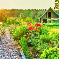 HOUSE LANE at in SUMMER SUNSET