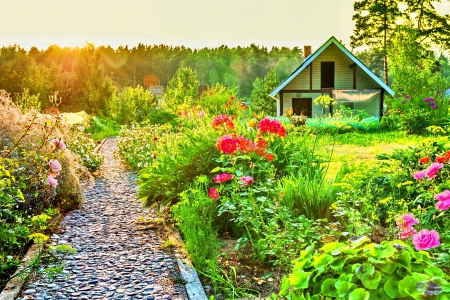 HOUSE LANE at in SUMMER SUNSET