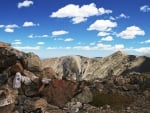 colorado mountain goat