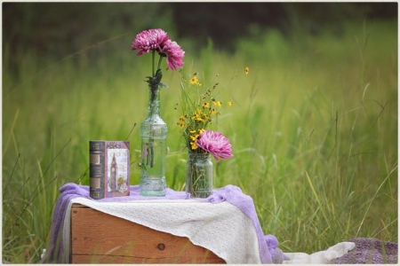 Pure Bloom - pure bloom, flowers, still life, garden, book, outdoor