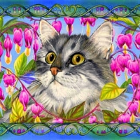 ..Sweet Jay..