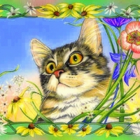 ..Curious Annie..