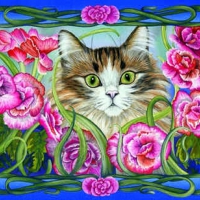 ..Pretty Rosie..