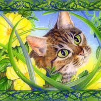 ..Lovely Joy..