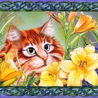 ..Bright Ginge..