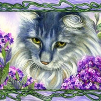 ..Cherish Jasper..