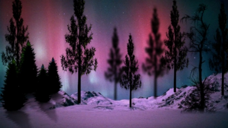 ~*~ Northern Lights ~*~ - aurora boreal, HD wallpaper, aurora borealis, landscape, aurora boreal landscape, northern lights