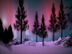 ~*~ Northern Lights ~*~