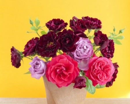 Beautiful Flowers - flowers, vase, roses, petals