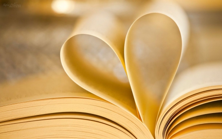 Love to read - love, photography, wallpaper, book, still life, abstract, softness, macro, close-up, story