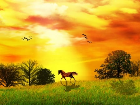 Sunset Run - clouds, trees, birds, run, grass, horse, sunrays, sunset, rays