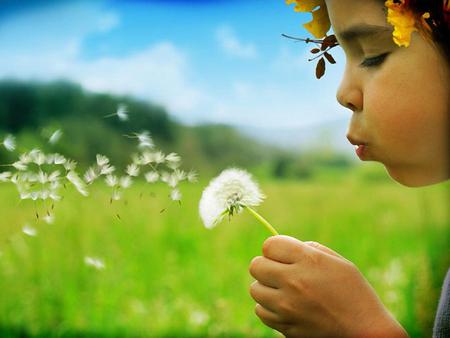 Flying Messengers - flying, people, messenger, blowing, kids, flower