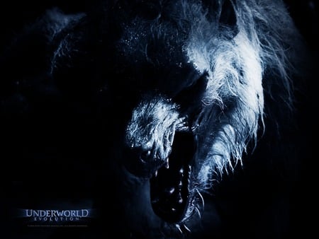 underworld wolf - movie, anmal