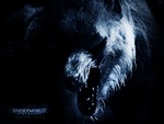 underworld wolf