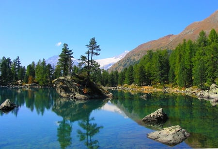 Lake Saoseo - trees, blue, wood, beautiful, sea, outdoor, forest, valley, mountain, stones, alpine, lake beautiful, color