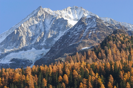 Lily on the snow mountains - blue, autumn, snow, mountain, sun