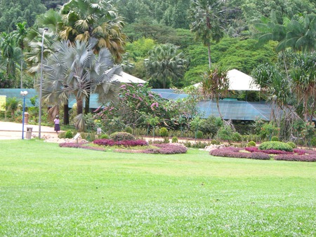 Lake Gardens in Kuala Lumpur - trees, garden