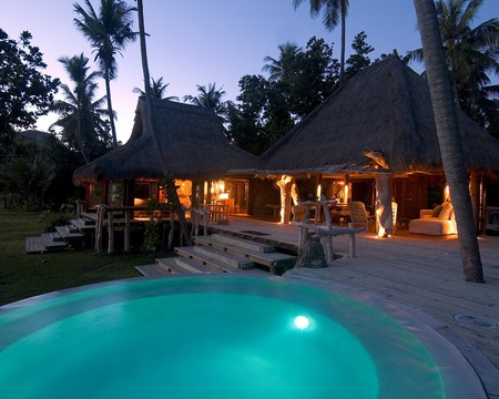 resort pool - island, palm trees, resort