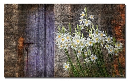 Flowers and rust