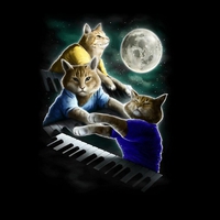 Three Keyboard Cat Moon 