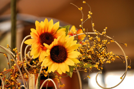 Sunflowers - flowers, sunflowers, yellow, sunflower