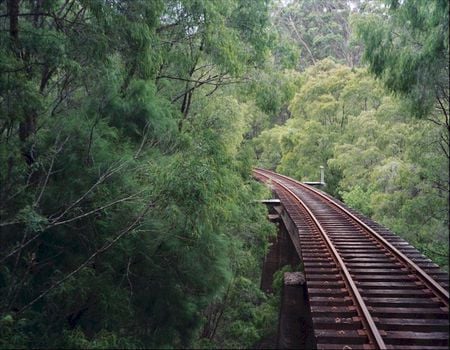 Railroad Tracks - western australia, forest, railroad tracks