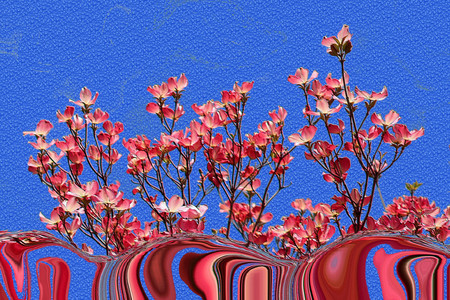 Pink flowers - flowers, 3d