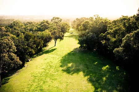 Perth Botanical Gardens - botanical gardens, perth, australia