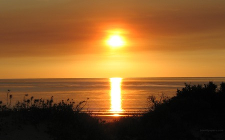 Cable Beach Dunes at Sunset - beach, sunset, sand dunes silhouette