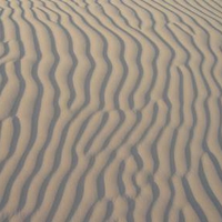 Ripples in the sand