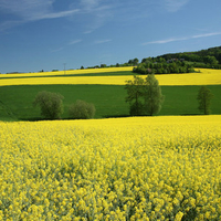 Bavenhausen, Germany