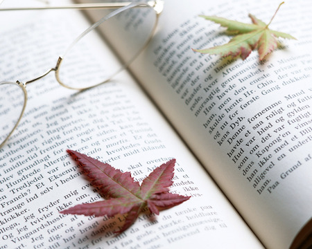 Quiet Afternoon - reading glasses, book, leaves