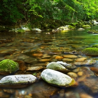 Great Smoky Mountains National Park