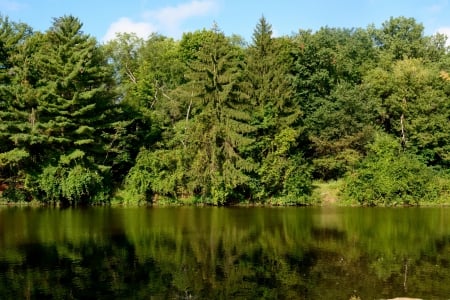 Summer Morning - summer pond, pond, beautiful morning, scenic park, park, Summer Morning