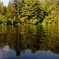 Scenic Summer Pond