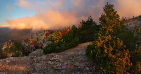 The trees on the mountains - mountains, trees, amazing, clouds