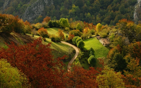 Country Road - road, trees, mountains, beautiful