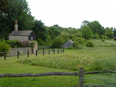 Country Home - trees, wood, grass, forest, fence, architecture, home, nature, green, field, country, sky