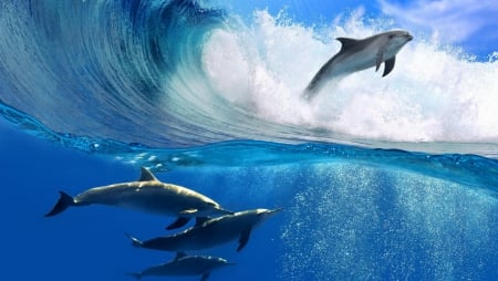 Dolphins playing with the tide - dolphins, animals, free natured, ocean life