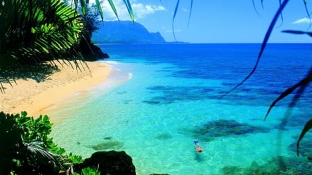 The Beach - nature, summer, beach, sea