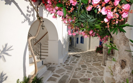 Santorini narrow streets - greece, street, Santorini, architecture