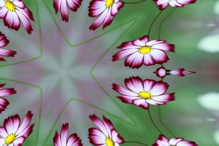 ABSTRACT DAISIES - creation, abstract, daisy, art