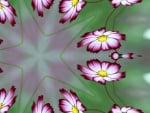 ABSTRACT DAISIES