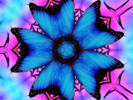 BUTTERFLY FLOWER - creation, art, butterfly, abstract