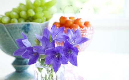 Flowers and Fruits - flowers, grapes, cherries, food, fruits